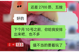 昭通企业清欠服务